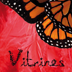 Les D&eacute;cors de Vitrines